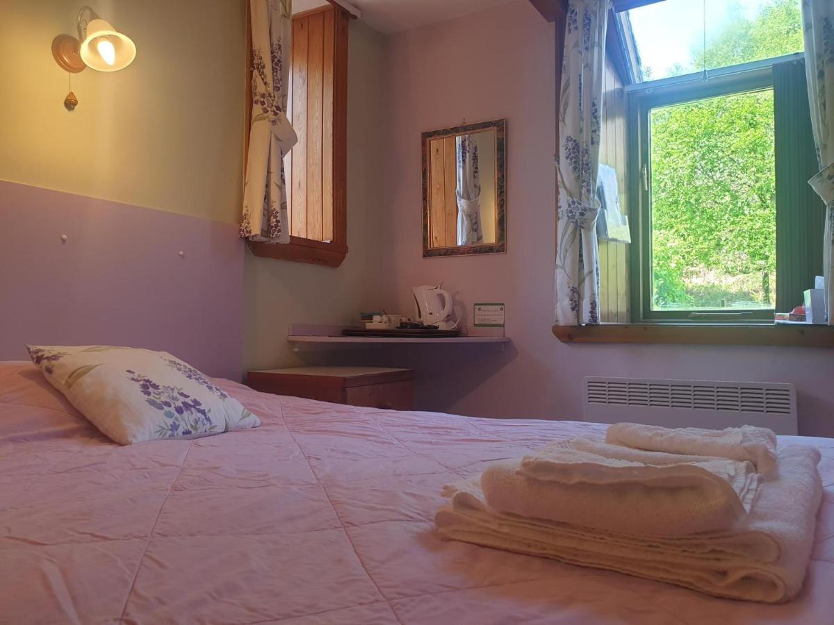 Bryn Elltyd Eco House Guest House Blaenau Ffestiniog Luaran gambar