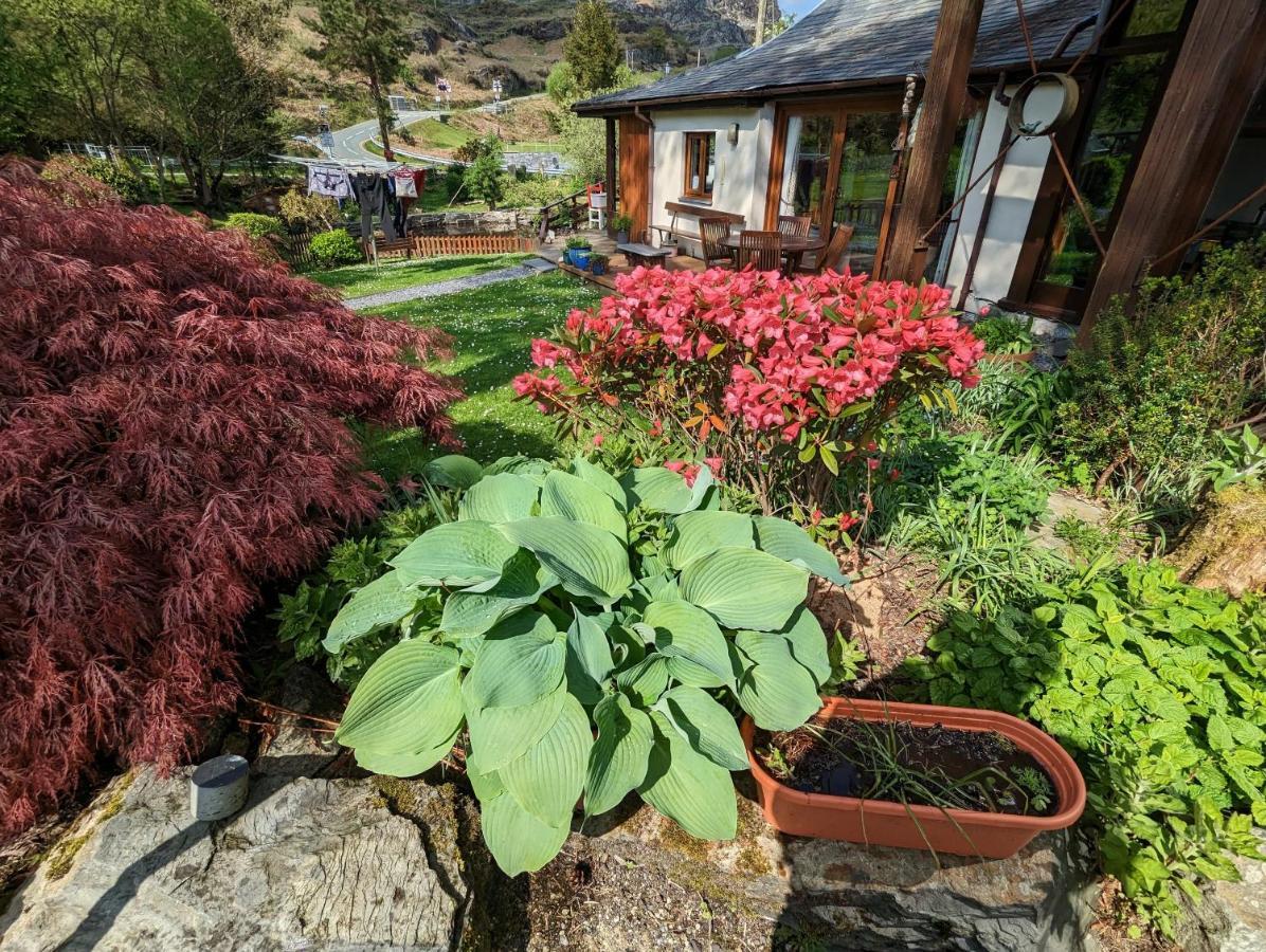 Bryn Elltyd Eco House Guest House Blaenau Ffestiniog Luaran gambar